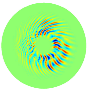 ORB5 simulation snapshot